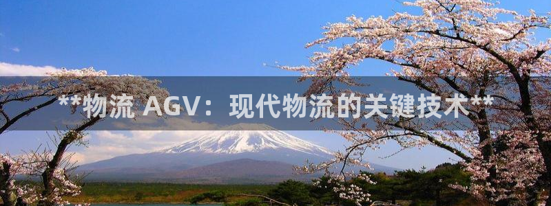 28圈注册网站多少钱：**物流 AG