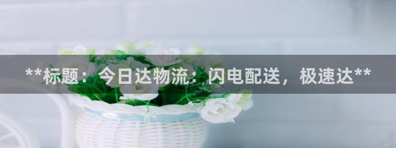 加拿大28圈是什么：**标题：今日达