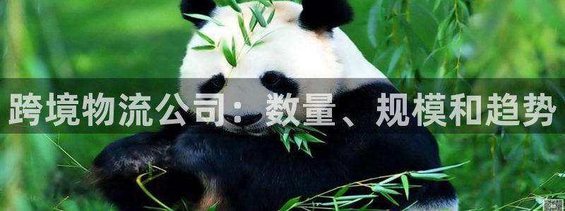 28圈加拿大最新版：跨境物流公司：数