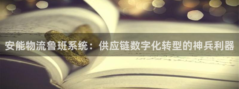 28圈加拿大模拟器：安能物流鲁班系统
