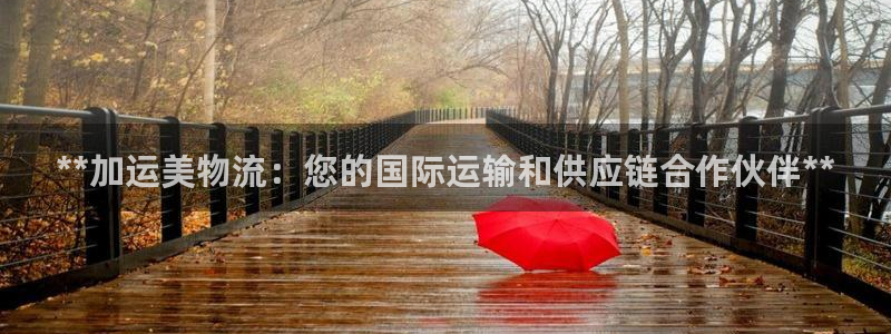 加拿大28圈是什么：**加运美物流：