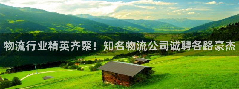 28圈加拿大2.8预测在线预测：物流