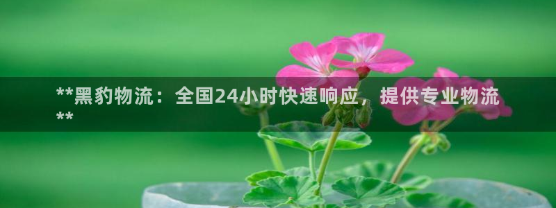 28圈违法吗：**黑豹物流：全国24