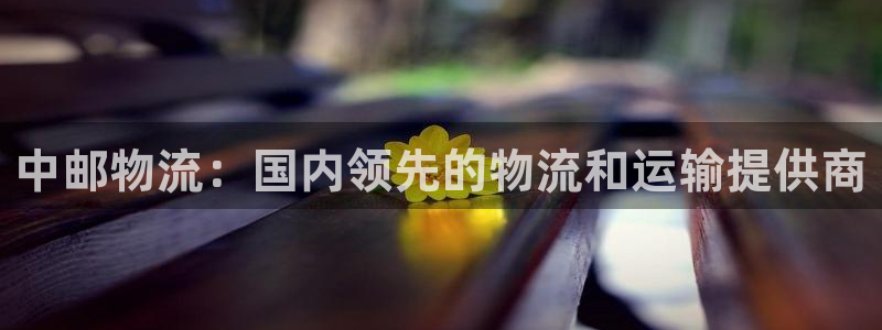 28圈登录流程：中邮物流：国内领先的