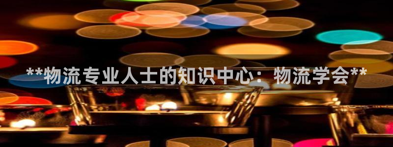 28圈龙虎