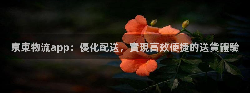 28圈充值不处理