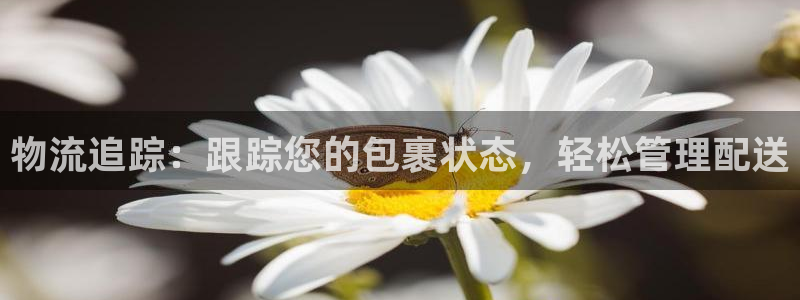 加拿大28圈是什么：物流追踪：跟踪您