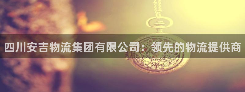 28圈黑吗：四川安吉物流集团有限公司