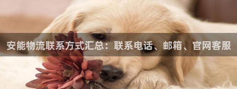 28圈注册上限是啥意思：安能物流联系