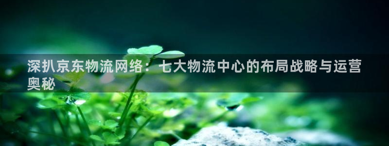 28圈链接来一个：深扒京东物流网络：