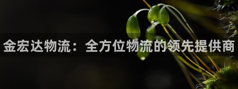 28圈初始资金密码是什么
