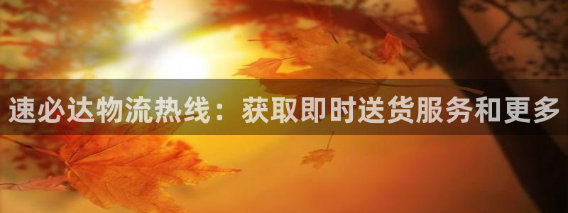 28圈加拿大技巧：速必达物流热线：获