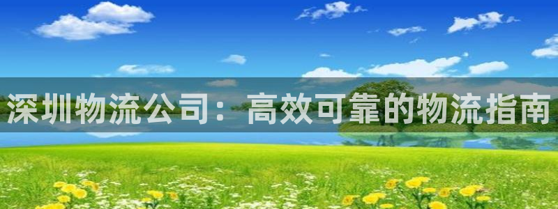 28圈怎么注册下载：深圳物流公司：高