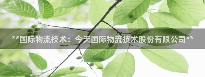 28圈官方版正版：**国际物流技术：