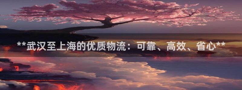 28圈注册网站链接：**武汉至上海的