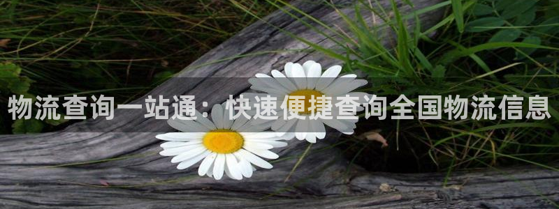 28圈.ccmpc正版