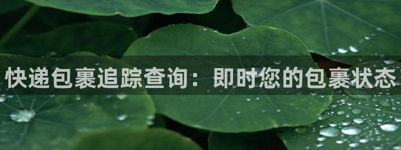 28圈激活码：快递包裹追踪查询：即时