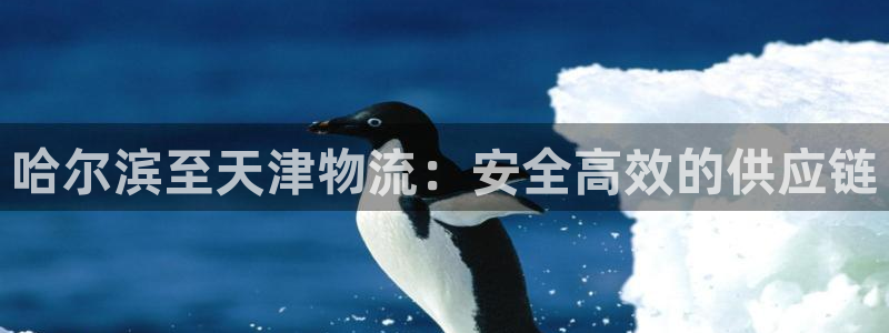 28圈预测加拿大：哈尔滨至天津物流：