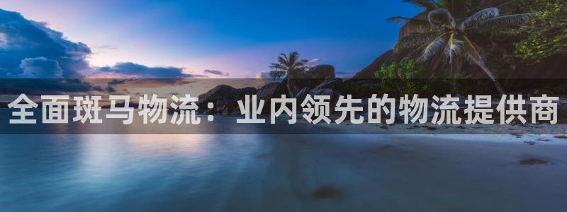 28圈黑平台吗：全面斑马物流：业内领