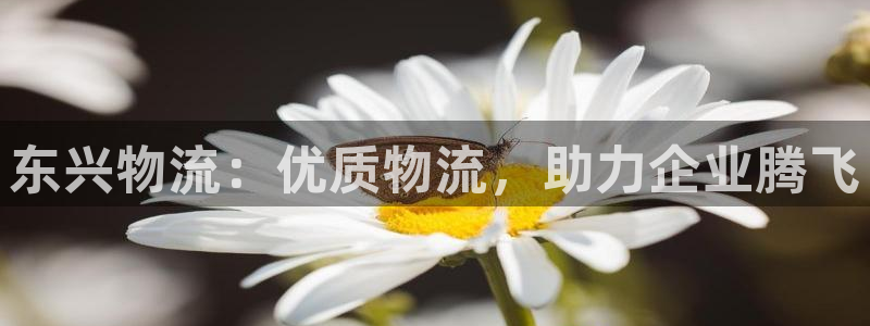 28圈.ccmpc28：东兴物流：优