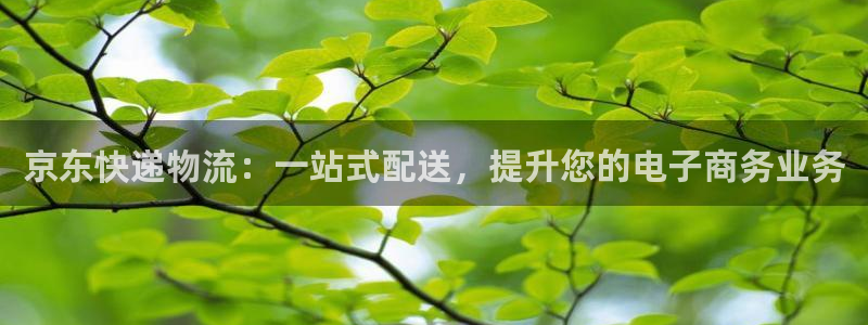 28圈注册链接入口：京东快递物流：一