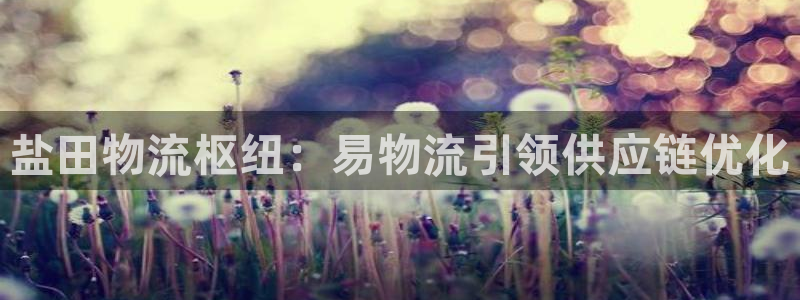 28圈下载体育：盐田物流枢纽：易物流