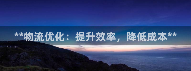 28圈注册链接教程：**物流优化：提