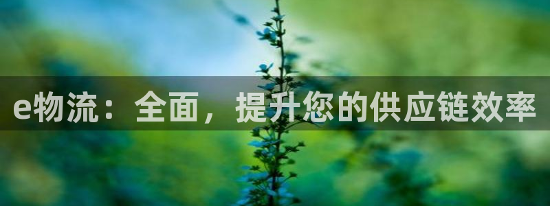 28圈分分28输了能不能退：e物流：