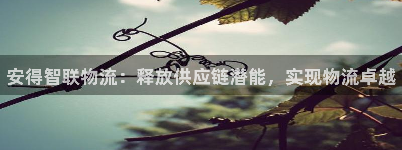 28圈模拟器下载：安得智联物流：释放