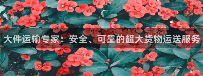 28圈预测加拿大：大件运输专家：安全