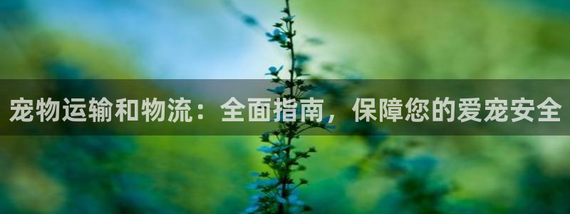 28圈网站平台是多少：宠物运输和物流