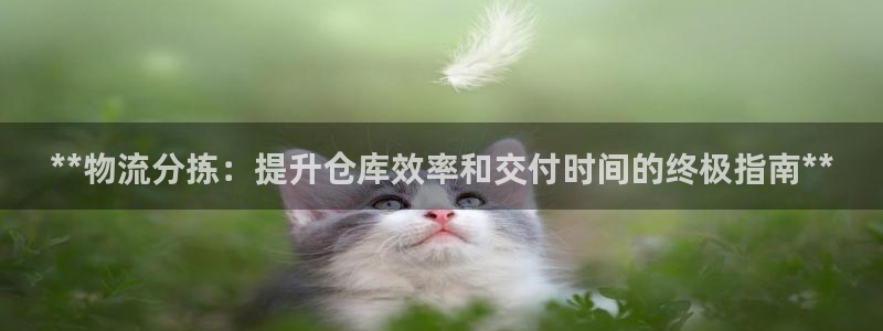 28圈退款教程
