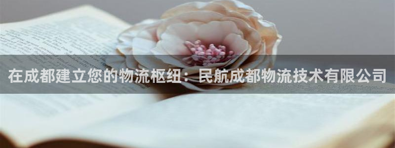 28圈龙虎