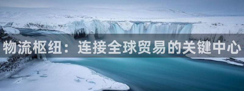 28圈提现不到账：物流枢纽：连接全球