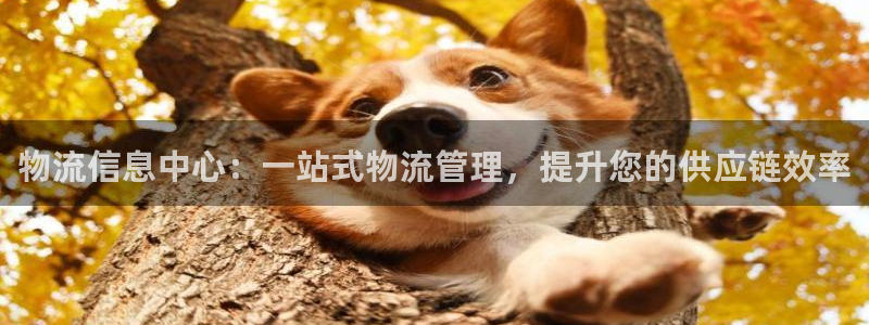 28圈口戒指是多大：物流信息中心：一