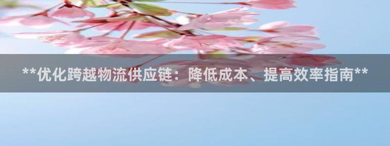 28圈注册网站加拿大：**优化跨越物