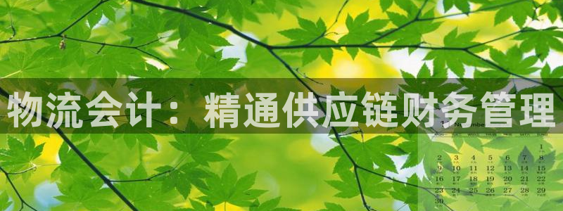 28圈图片：物流会计：精通供应链财务