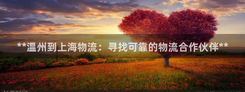 28圈加拿大下载：**温州到上海物流