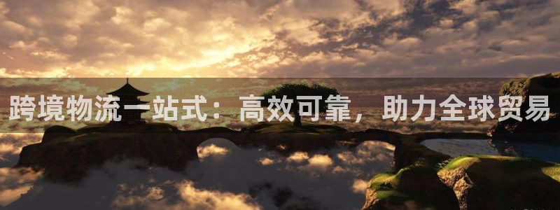 28圈退款：跨境物流一站式：高效可靠
