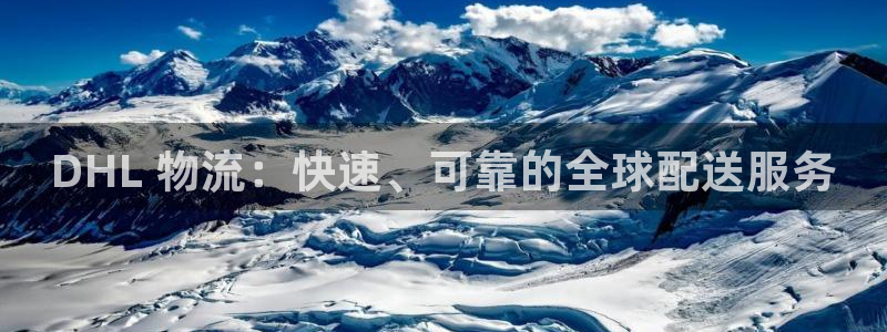 28圈加拿大预测：DHL 物流：快速