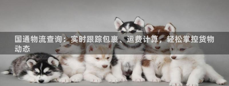28圈推广链接是多少个：国通物流查询