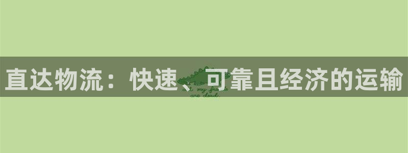 28圈犯法吗：直达物流：快速、可靠且