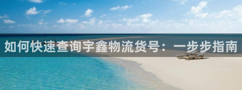 28圈官方：如何快速查询宇鑫物流货号