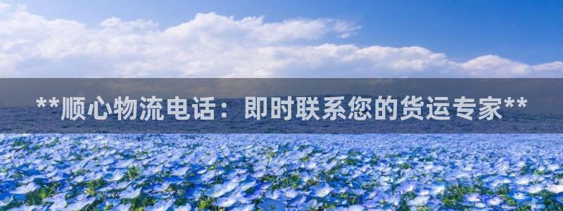 28圈为什么没有赢过一次