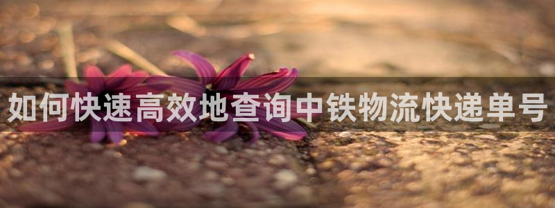 28圈反水怎么算：如何快速高效地查询