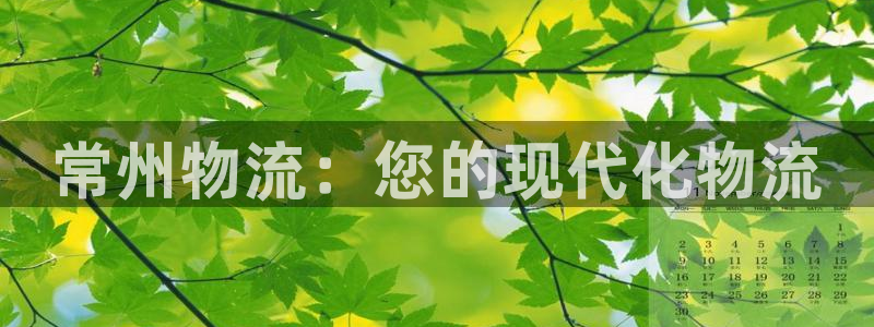 28圈注册网站：常州物流：您的现代化