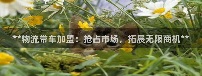 28圈充值：**物流带车加盟：抢占市