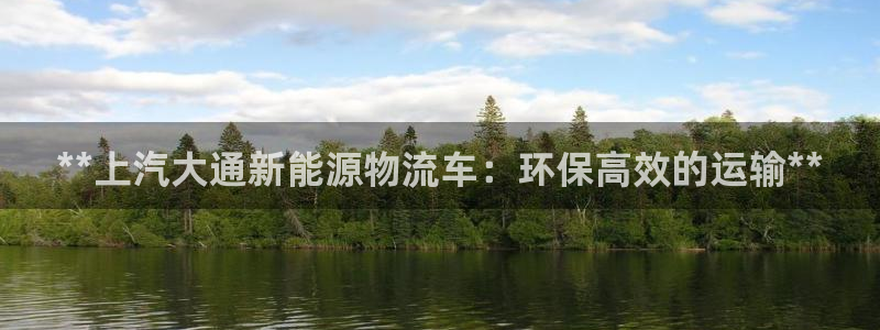 28圈游戏：**上汽大通新能源物流车