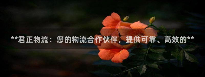 28圈入口问一问：**君正物流：您的