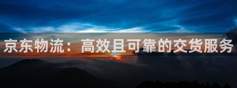 28圈ip被限制怎么解决：京东物流：